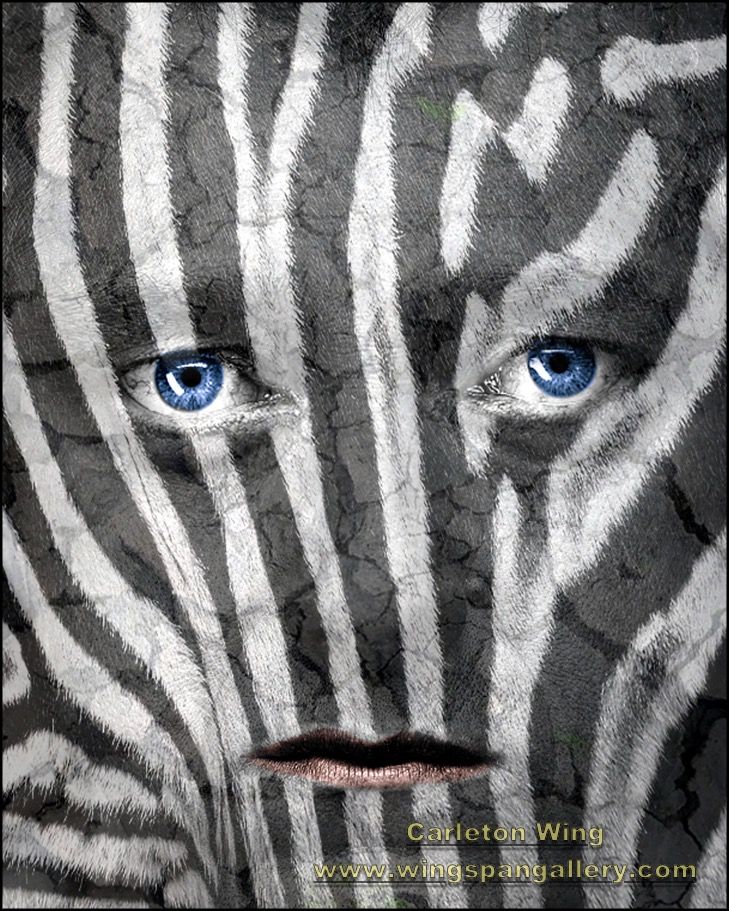 Zebra Man