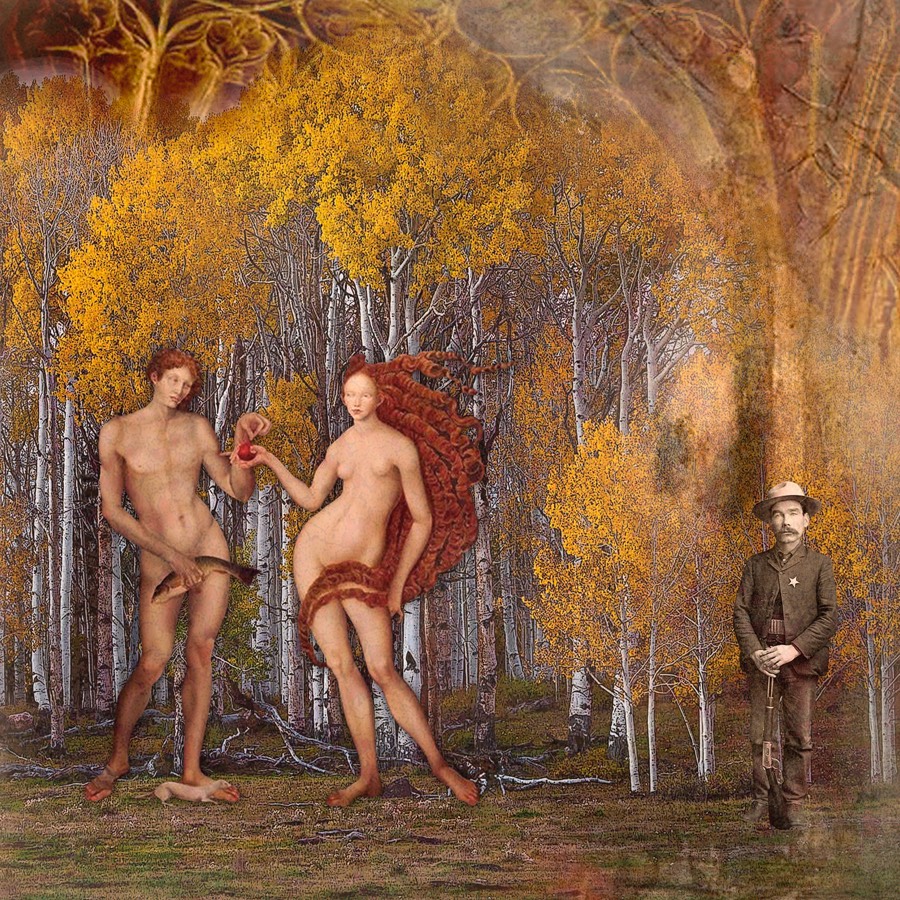 Birch trees