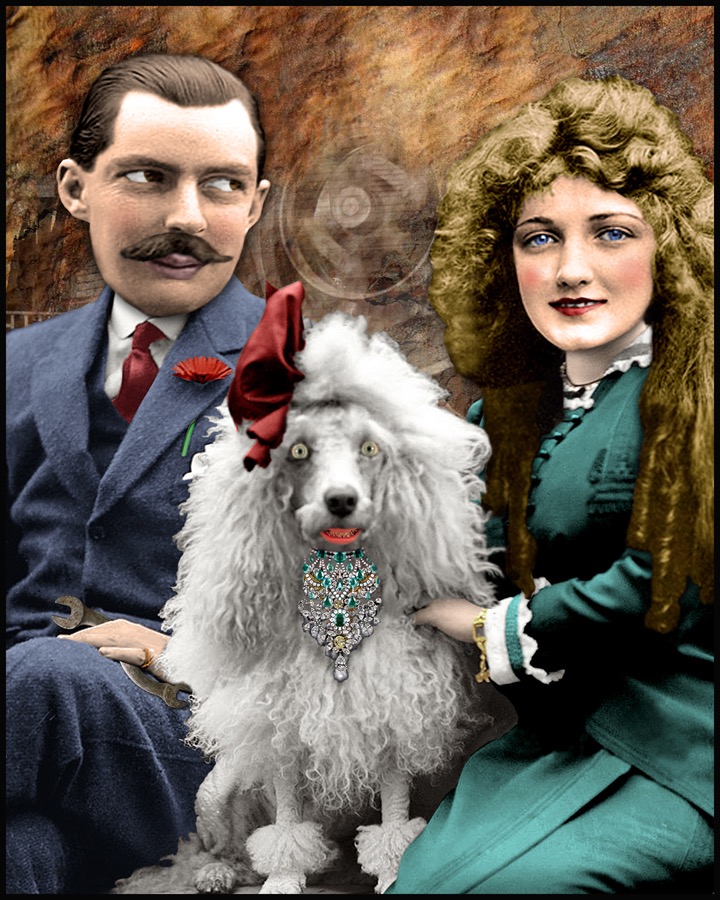 Crazy Dog WS.jpg