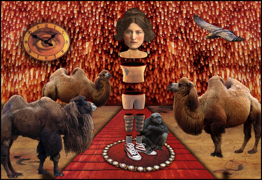 Dr Valerie WS.jpg