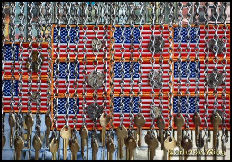 False Bunting, rear detail