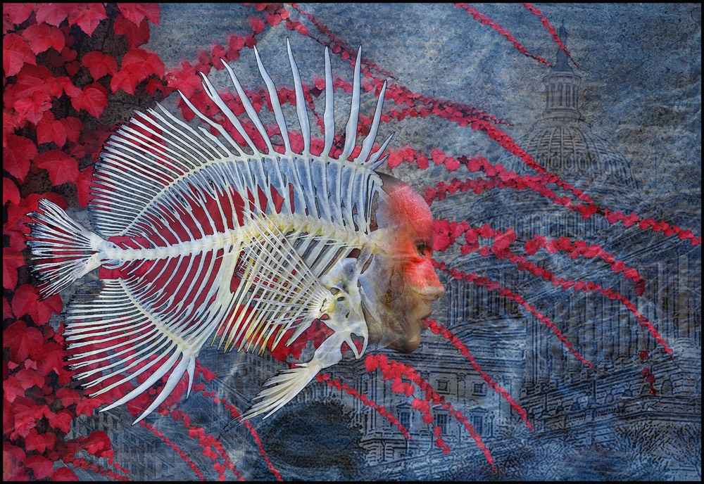Fish Woman WS