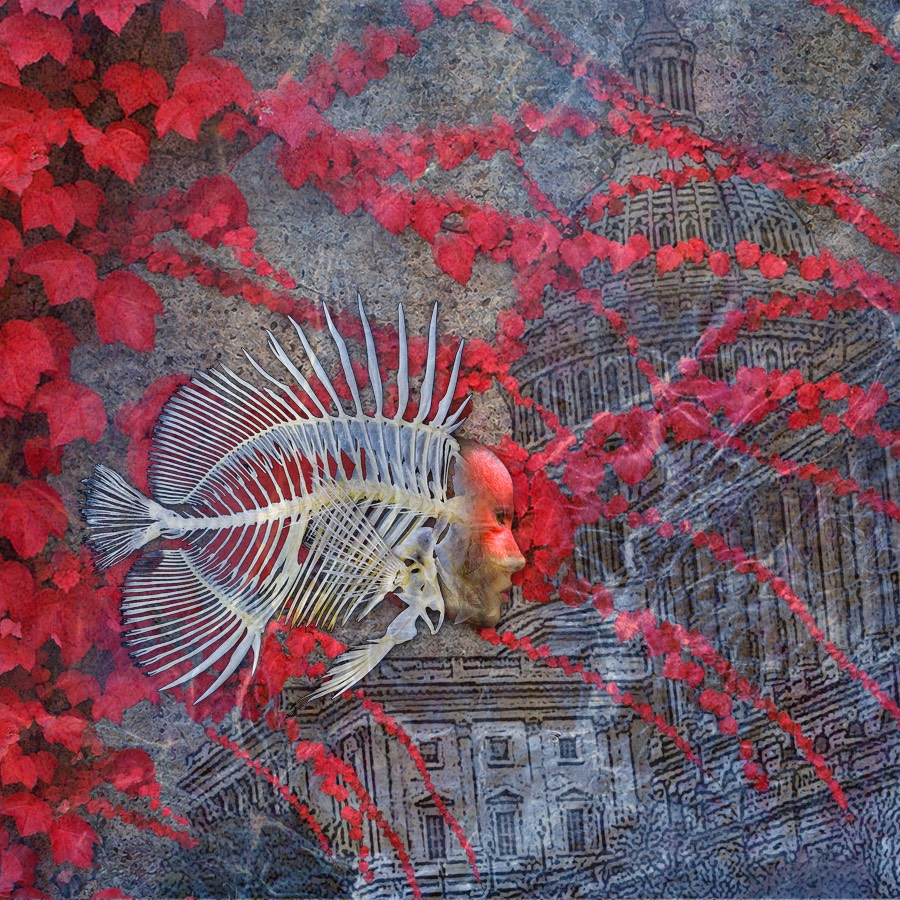 Fish Woman